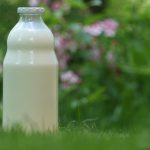 Organsko kozje mleko