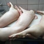 Sveža prasetina 1000din/kg