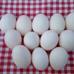 Organska pačija jaja 70din/kom